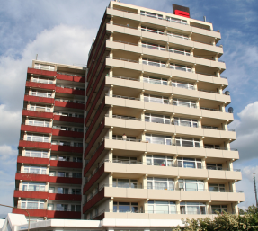 Our Projects