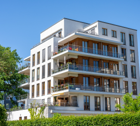 Our Projects